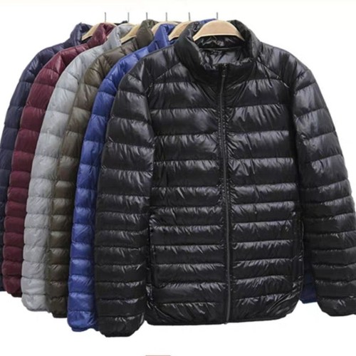Men duck down coat - duck,